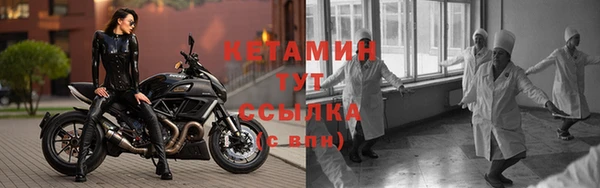 крисы Баксан