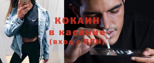 крисы Баксан