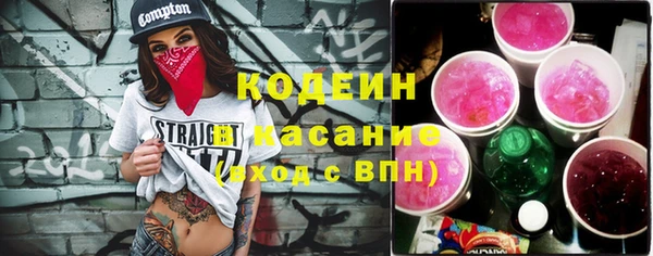 крисы Баксан