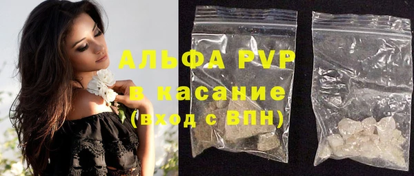 крисы Баксан