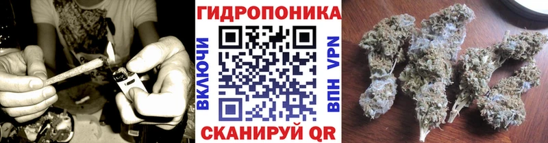 Бошки марихуана VHQ  Новый Оскол 